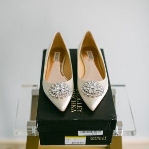Badgley Mischka Women's Davis Pointed Toe Flat 8